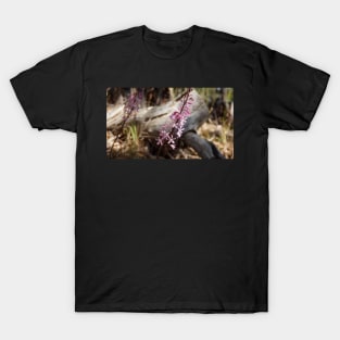 Hyacinth Orchids - Magpie Springs - Adelaide Hills - Fleurieu Peninsula - South Australia T-Shirt